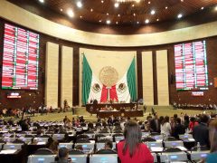 Cmara de Diputados SAM 1217